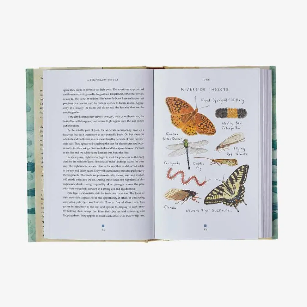 Hot A Temporary Refuge: Fourteen Seasons With Wild Summer Steelhead By Lee Spencer Kirjat Ja Oppaat
