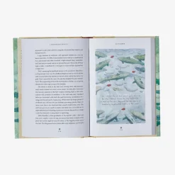 Hot A Temporary Refuge: Fourteen Seasons With Wild Summer Steelhead By Lee Spencer Kirjat Ja Oppaat