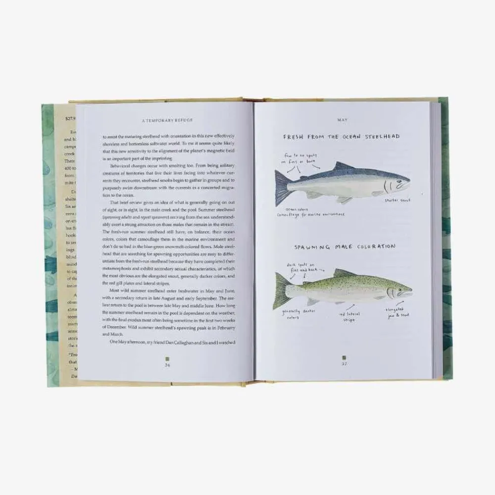 Hot A Temporary Refuge: Fourteen Seasons With Wild Summer Steelhead By Lee Spencer Kirjat Ja Oppaat
