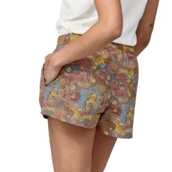 Online Barely Baggies Shorts - 2 Shortsit