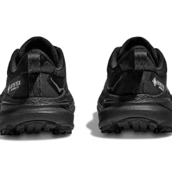Shop Challenger Atr 7 Gore-Tex Women'S Juoksukengät