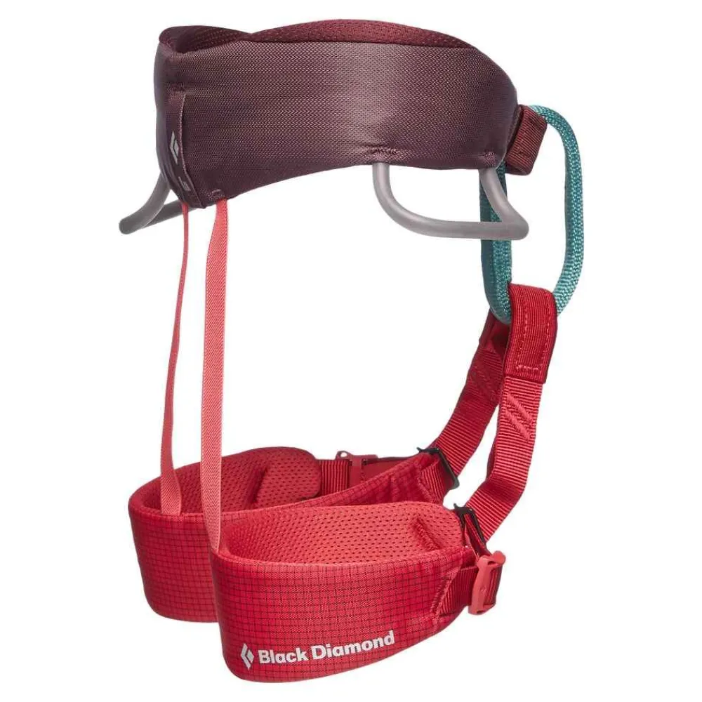Clearance Momentum Harness Kids Valjaat