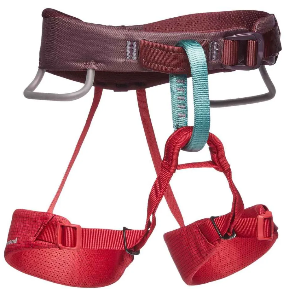 Clearance Momentum Harness Kids Valjaat