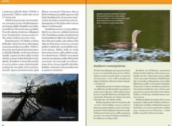 Sale Nuuksion Retkeilyopas - Luonto, Reitit Ja Kohteet Opaskirjat Ja Kartat