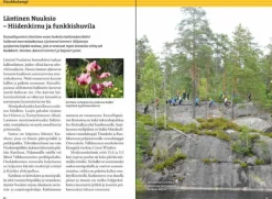 Sale Nuuksion Retkeilyopas - Luonto, Reitit Ja Kohteet Opaskirjat Ja Kartat