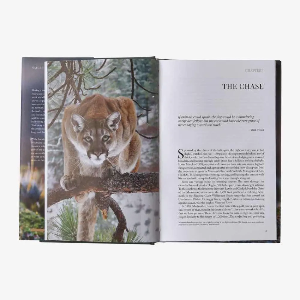Hot Path Of The Puma: The Remarkable Resilience Of The Mountain Lion Kirjat Ja Oppaat