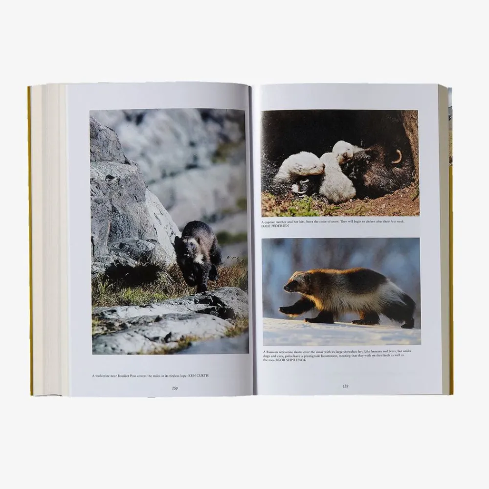 New The Wolverine Way (Softcover) Kirjat Ja Oppaat