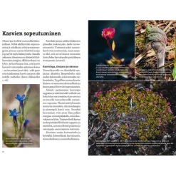 Clearance Vaeltajan Tunturikasvio Opaskirjat Ja Kartat
